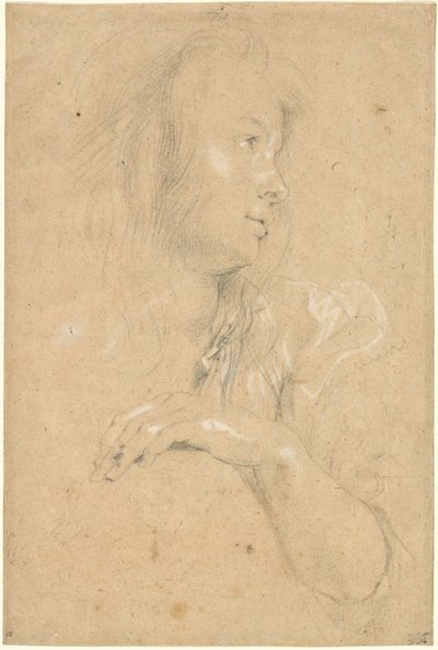 Fiatal nő a profilban alkotó: Sir Peter Paul Rubens