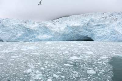 A közeli gleccserek jégdarabjai úsznak a Jeges-tengerben, Svalbard-szigetek, Norvégia, 2022 (fotó) alkotó: Sisse Brimberg