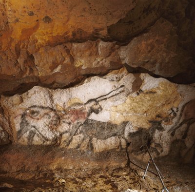 A Lascaux-i mítikus egyszarvú több mint 17 000 évvel ezelőtt festett fehér kalcit vonalán... alkotó: Sisse Brimberg