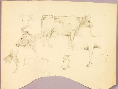 Bulls alkotó: Solon H. Borglum