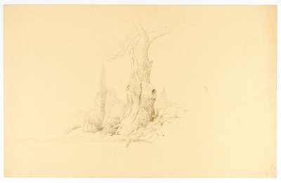 Holtfa és csikó legeltetés alkotó: Solon H. Borglum