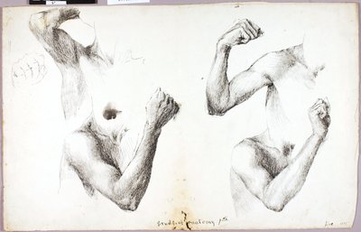 Négy karos tanulmányok, #1 alkotó: Solon H. Borglum