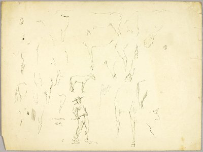 Ló tanulmány alkotó: Solon H. Borglum