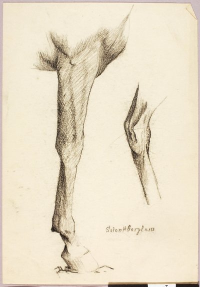 Ló tanulmány alkotó: Solon H. Borglum