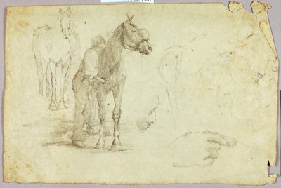 Ló és lovas alkotó: Solon H. Borglum