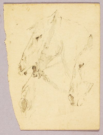 Lófejek alkotó: Solon H. Borglum