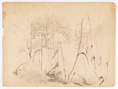 Tájkép alkotó: Solon H. Borglum