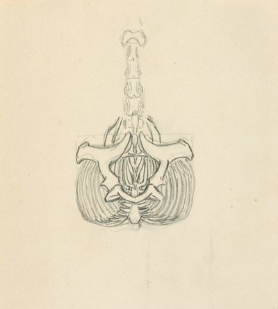 Medence alkotó: Solon H. Borglum