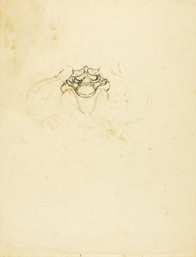 Medence alkotó: Solon H. Borglum