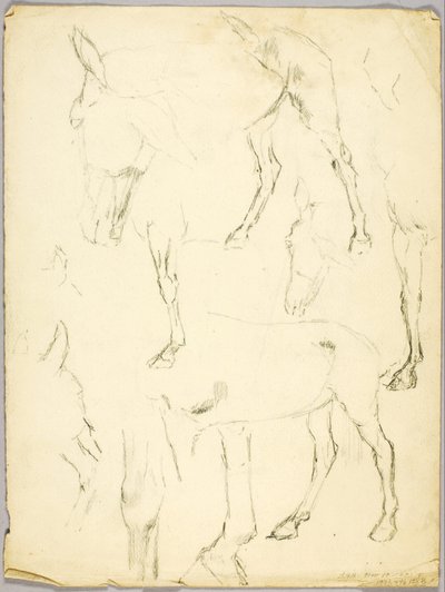 Portré tanulmány, Ló tanulmány alkotó: Solon H. Borglum
