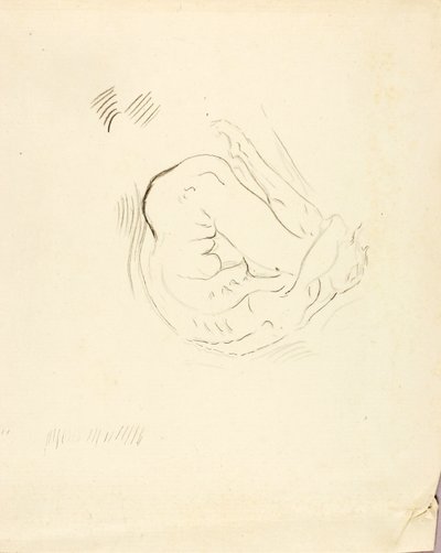 Úszó alkotó: Solon H. Borglum