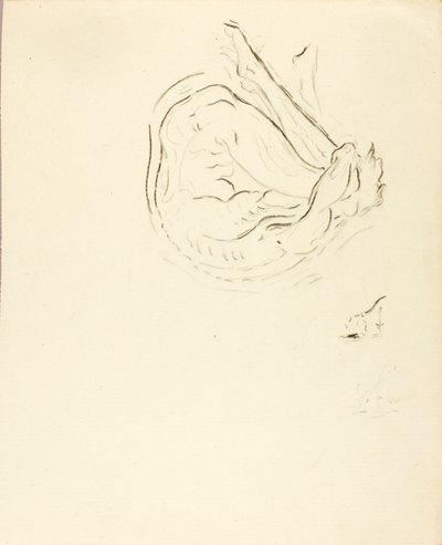 Úszó alkotó: Solon H. Borglum