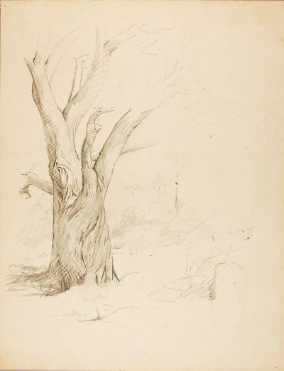 Cím nélkül alkotó: Solon H. Borglum