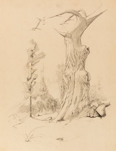Cím nélkül alkotó: Solon H. Borglum