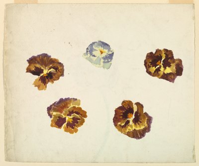 Jobb alkotó: Sophia L. Crownfield