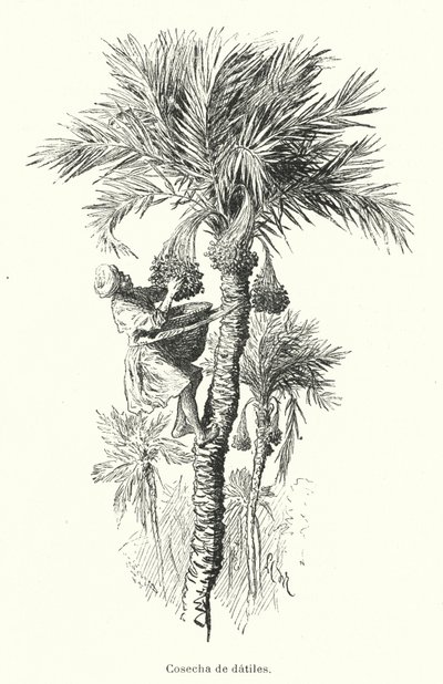 Betakarítás dátumai (litho) alkotó: Spanish School