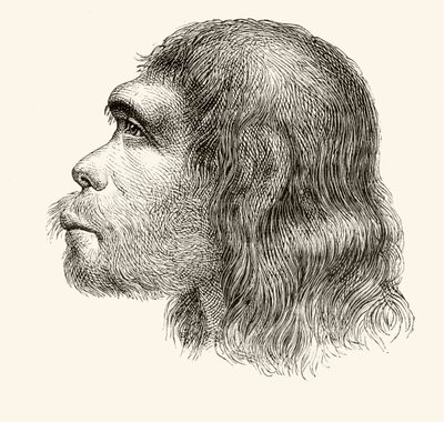 Egy neandervölgyi ember feje, a Nuestro Siglo-ból, Barcelona, 1883 alkotó: Spanish School