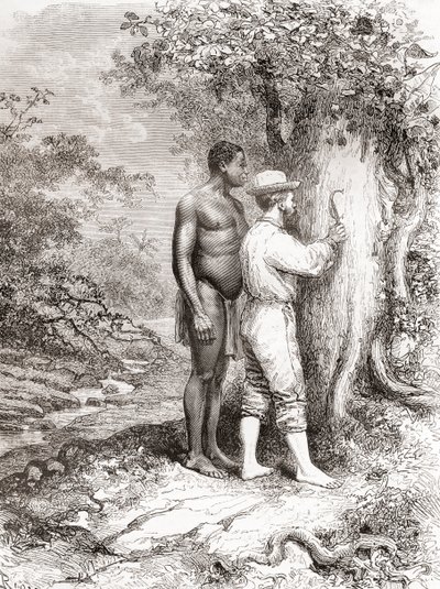 Jules Crevaux, amikor 1878-ban felfedezte Francia Guyanát, az Oyapock vagy az Oiapoque folyó partján lévő fára faragta kezdőbetűit. alkotó: Spanish School