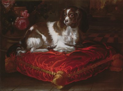 Spániel egy párnán alkotó: Spanish School