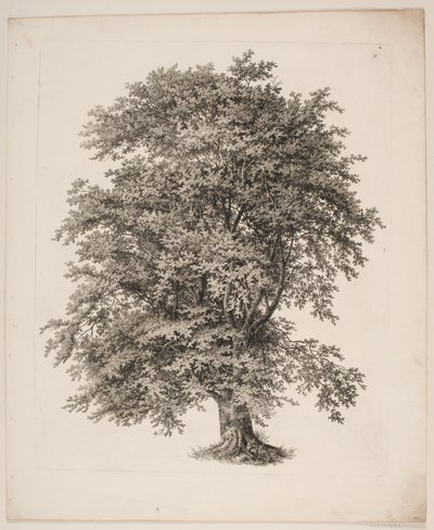 "Studies after Nature with Regard to Landscape Drawing by S.H. Petersen", 2. sz alkotó: Søren Henrik Petersen