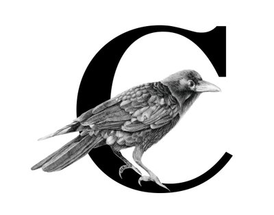 C a Crow, 2018 (grafitceruza és digitális) alkotó: Stacy Hsu