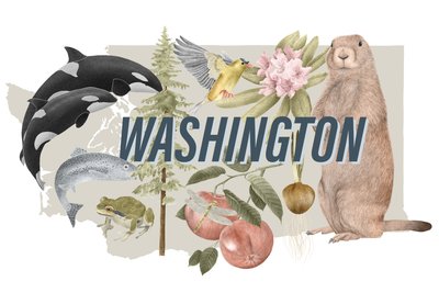 Washington állam szimbólumai, 2018 (grafitceruza és digitális) alkotó: Stacy Hsu