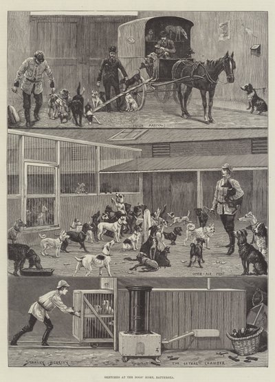 Vázlatok a Kutyaotthonban, Battersea alkotó: Stanley Berkeley