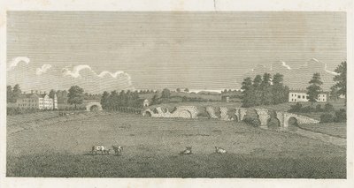 Wolseley-híd: metszet alkotó: Stebbing Shaw