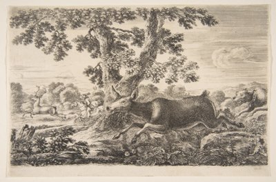 Szarvasvadászat, az Állatvadászatból Vadászatok különböző állatokra, kb. 1654. alkotó: Stefano della Bella