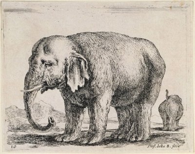  alkotó: Stefano della Bella
