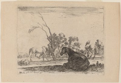 Lovak a legelőn alkotó: Stefano della Bella