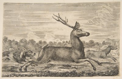 Szarvast és őzikét kergető kopók, kb. 1654. alkotó: Stefano della Bella