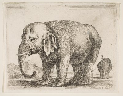 10. tábla: elefánt, különféle állatokból Diversi animali, kb. 1641. alkotó: Stefano della Bella