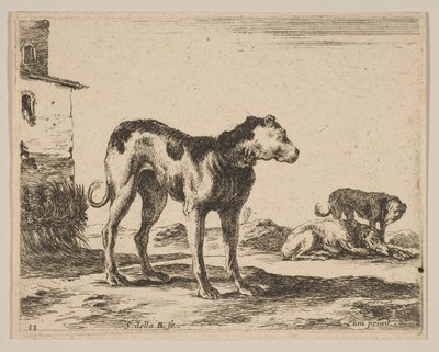 11. tábla: kutyák, különböző állatokból Diversi animali, kb. 1641. alkotó: Stefano della Bella