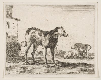 11. tábla: kutyák, különböző állatokból Diversi animali, kb. 1641. alkotó: Stefano della Bella