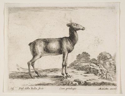 15. tábla: őzike, Különféle állatokból Diversi animali, kb. 1641. alkotó: Stefano della Bella