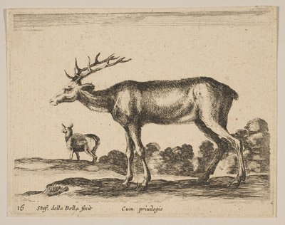 16. tábla: szarvasbika, Különféle állatokból Diversi animali, kb. 1641. alkotó: Stefano della Bella