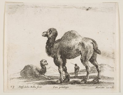 17. tábla: tevék, különféle állatokból Diversi animali, kb. 1641. alkotó: Stefano della Bella