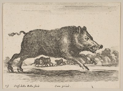 19. tábla: vaddisznó, különböző állatokból Diversi animali, kb. 1641. alkotó: Stefano della Bella