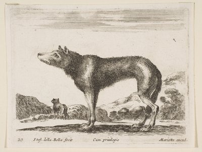 20. tábla: farkas, különböző állatokból Diversi animali, kb. 1641. alkotó: Stefano della Bella