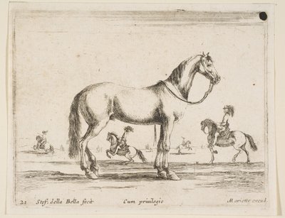 21. tábla: ló, Különféle állatokból Diversi animali, 1641. alkotó: Stefano della Bella
