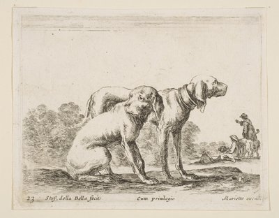 23. tábla: két vadászkutya, különféle állatokból Diversi animali, kb. 1641. alkotó: Stefano della Bella