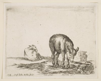 24. tábla: szamarak, különféle állatokból Diversi animali, kb. 1641. alkotó: Stefano della Bella