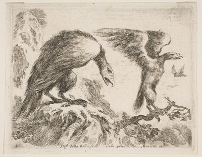 2. tábla: sas és sasfióka, különféle állatokból Diversi animali, kb. 1641. alkotó: Stefano della Bella