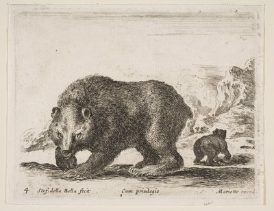 4. tábla: medve, „Különféle állatok” Diversi animali, 1641. alkotó: Stefano della Bella