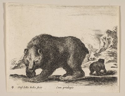 4. tábla: medve, a „Különféle állatok” fajtából Diversi animali, kb. 1641. alkotó: Stefano della Bella