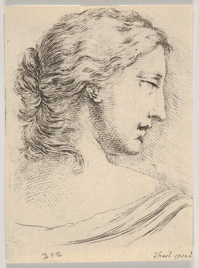 5. tábla: nőfej, profilban jobbra fordítva, a Különféle fejek és alakok...-ból, 1650. alkotó: Stefano della Bella