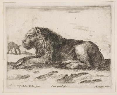 5. tábla: fekvő oroszlán, Különféle állatokból Diversi animali, 1641. alkotó: Stefano della Bella