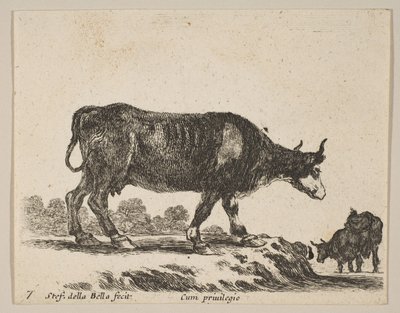 7. tábla: tehén, különféle állatokból Diversi animali, kb. 1641. alkotó: Stefano della Bella