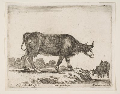 7. tábla: ökör, különböző állatokból Diversi animali, kb. 1641. alkotó: Stefano della Bella